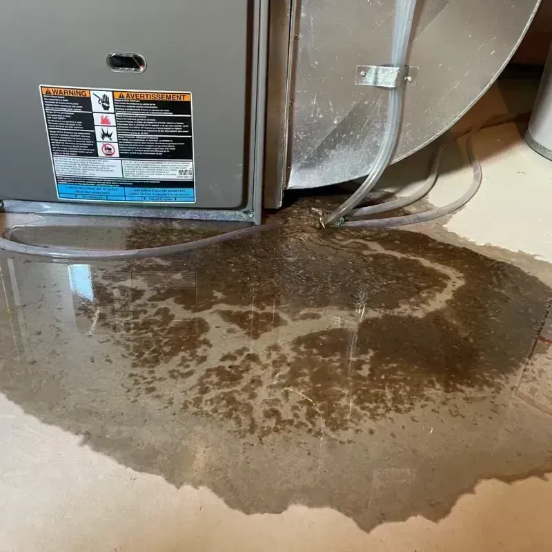 Appliance Leak Cleanup in New Carrollton, MD